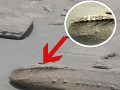 火星にUFOが不時着していた!? 車輪のような構造物に英科学者「地球外起源であることは否定できない」