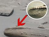火星にUFOが不時着していた!? 車輪のような構造物に英科学者「地球外起源であることは否定できない」