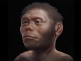 絶滅したホビットの顔を再現! 現在も目撃される伝説のホモ・フローレンシス