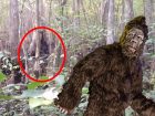 獣人型UMA「ビッグフット」を至近距離で撮影！ “最も説得力のある映像”に絶賛の嵐