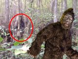 獣人型UMA「ビッグフット」を至近距離で撮影! “最も説得力のある映像”に絶賛の嵐