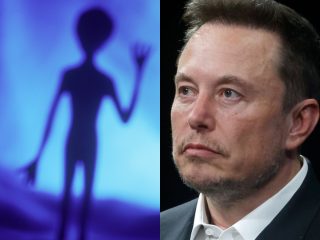 イーロン・マスク「宇宙人はいない」 フェルミのパラドックスが示す答えに物理学者も賛同