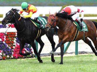 「高い馬は走らない」競馬界最大のミステリー！ JRAスプリンターズステークスも高額馬不在、お手頃価格馬の下剋上で万馬券必至！