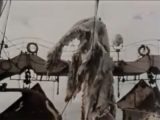 「腐敗した恐竜」を日本の漁師が吊り上げた!? 50年前のUMAニューネッシー騒動とは?