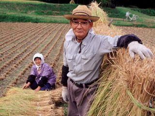 長男以外は奴隷!? 日本の奇習「おじろく・おばさ」とは？