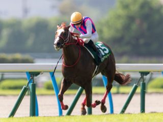 衝撃の4億円事件！ JRAで歴史的な異常事態発生中「スプリンターズステークス」も大荒れ必至！ マスコミノーマークの“隠れ穴馬”で一獲千金勝負！