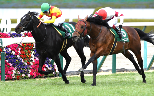 「高い馬は走らない」競馬界最大のミステリー！ JRAスプリンターズステークスも高額馬不在、お手頃価格馬の下剋上で万馬券必至！の画像1