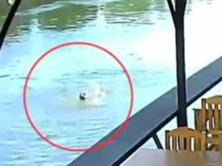 幽霊に自殺を強要された!? 記憶が無くなり川の中へ… 複数人が霊の姿を目撃＝タイ
