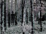 いまも呪物人形が高野山を徘徊している!? 西行が作った「人造人間」とは?