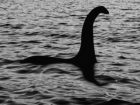 首をもたげたネッシーが湖から姿を現した!? ネス湖で撮影された最新画像がすごい！