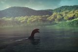 ネッシーが自宅の庭から現れた!? 民家の裏庭から恐竜の化石が発見される