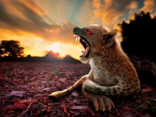 UMA「チュパカブラ」を猟師が殺害!? 驚愕の映像がSNSで拡散される！＝ブラジル