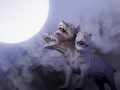 「ケルベロスの墓」が発掘される!? 地獄の番犬の姿とは？＝イタリア
