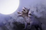 「ケルベロスの墓」が発掘される!? 地獄の番犬の姿とは?=イタリア
