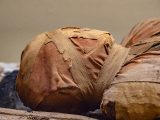 アメリカのミイラ「ストーンマン・ウィリー」とは? 身元不明の男が128年ぶりに埋葬へ