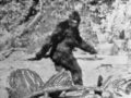 ビッグフット映像が公開されたことで大規模調査が行われる！ 伝説のUMA発見へ