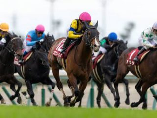 “一攫千金の秋！” 天皇賞（秋）イクイノックス、ドウデュース、人気馬では決まらない？ 「お宝穴馬」で100万円ゲット目前!?