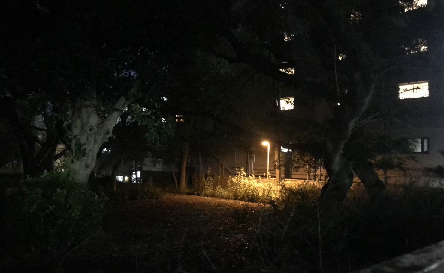 怪奇現象多発!? 731部隊の犠牲者が眠る新宿・戸山公園に行ってみた!の画像14