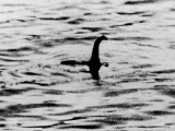 ネッシーに「巨大な不定形のモンスター」である可能性が!?ネス湖の環境DNA分析で出た興味深い結果が