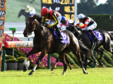 競馬界最大のミステリー。前代未聞の競走馬誘拐、その意外な結末。さらに今年のジャパンカップで起こりうる驚くべきミステリーとは?