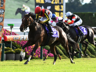 競馬界最大のミステリー。前代未聞の競走馬誘拐、その意外な結末。さらに今年のジャパンカップで起こりうる驚くべきミステリーとは？