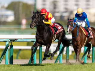 有馬記念史上最高配当の期待も高まる！イクイノックス引退で100万馬券も…。誰でもできる？年末ジャンボを吹き飛ばす衝撃の一攫千金術！