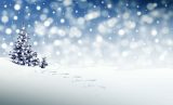 数学者が「完璧なクリスマスを過ごすための3つの方法」を方程式から発見!