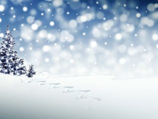 数学者が「完璧なクリスマスを過ごすための3つの方法」を方程式から発見！