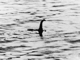 ビッグフットとネッシーを信じている人の割合は？ 衝撃的な調査結果が明らかに