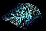死後の世界、超能力、スピを科学する定義「ポスト物質主義科学18条」とは? 大学教授が提示!