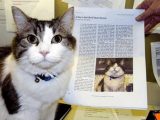 死を予知する"神秘の猫"オスカー、介護施設で100人以上の入居者の最期を看取る