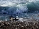 地震・津波碑データベースでわかる「次に危ない地域」5選! 今こそ祖先からのメッセージを聞け!