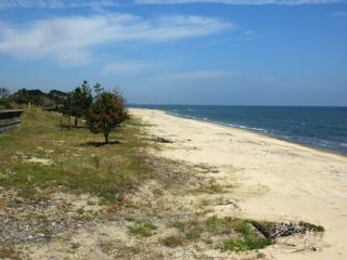 戦後最大の水難事件の現場となった三重県の心霊スポット「中河原海岸」の真相