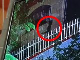 長い尻尾の生えたシャドーマンを防犯カメラがとらえた?!=フィリピン