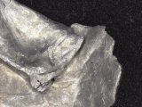 ロズウェルで発見された“純度100%”のアルミニウムはUFO墜落の証拠か!?