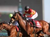 競馬界最大のミステリー。宝塚記念は「2億円おじさん」誕生の一攫千金レース。今年はあなたにも最大のチャンスが到来!