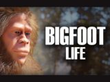 あなたもビッグフットになれる!?驚きのゲーム「Bigfoot Life」が発売予定!