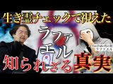 《丸裸にしてやったぜ:ラファエルコラボ》仮面のYouTuberを生き霊チェックで丸裸にしてみた(シークエンスはやともチャンネル〜1人で見えるもん。〜)