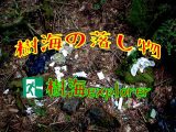 樹海の落し物リアル (廃墟Explorerチャンネルby栗原亨)