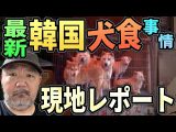 最新 韓国“犬食”事情 現地レポート【補身湯】(リアル現場主義!!)