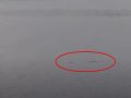 5m以上の巨大生物！？ネス湖のWebカメラに水面から浮かび上がる一対の“奇妙なこぶ”が映る