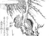 風が吹けば生き返る…?木から木へ滑空移動する妖怪「風狸」