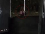 幽霊か、それとも…?墓地で警備員が撮影した“静かに立ち尽くす女性”の正体とは…=コロンビア