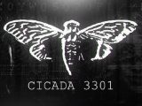 謎すぎる暗号「Cicada 3301(シケイダ3301)」解読した者は本当に存在するのか