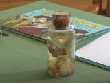 約150年前の「ケンタッキー州の肉の雨事件」の肉片が残っていた!新しい博物館の展示品として地元へ凱旋