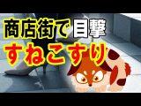 ATLAS:鳴釜のん登場!駒込商店街でOLに引っ付く「すねこすり」を目撃(Bintarou Turtle Company Yamaguchi)