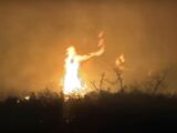 神の力で鎮火か、山火事でイエスの姿が目撃?!火災現場の写真に浮かび上がった「奇跡」