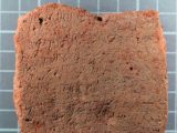 古城で“あらゆる悪”から墓を護る「魔除けの石板」が発掘される=トルコ