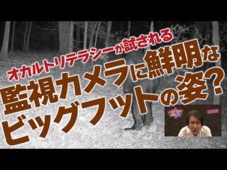 第9位 監視カメラに鮮明なビッグフットの姿? 世界オカルト最前線 ベストヒットUSA（うさ）TV Vol.29 2024年9月11日（MUGENJU CHANNEL）