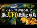【ヤバ帝メキシコツアー③】遂にメキシコでUFO撮影に成功！ 精霊が棲む森で儀式中に出現【ワスカデオカンポ】（角由紀子のヤバイ帝国）